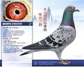 致命罗兰在线观看,在线惊悚之旅,揭秘神秘世界的黑暗面 第2张 致命罗兰在线观看,在线惊悚之旅,揭秘神秘世界的黑暗面 第2张